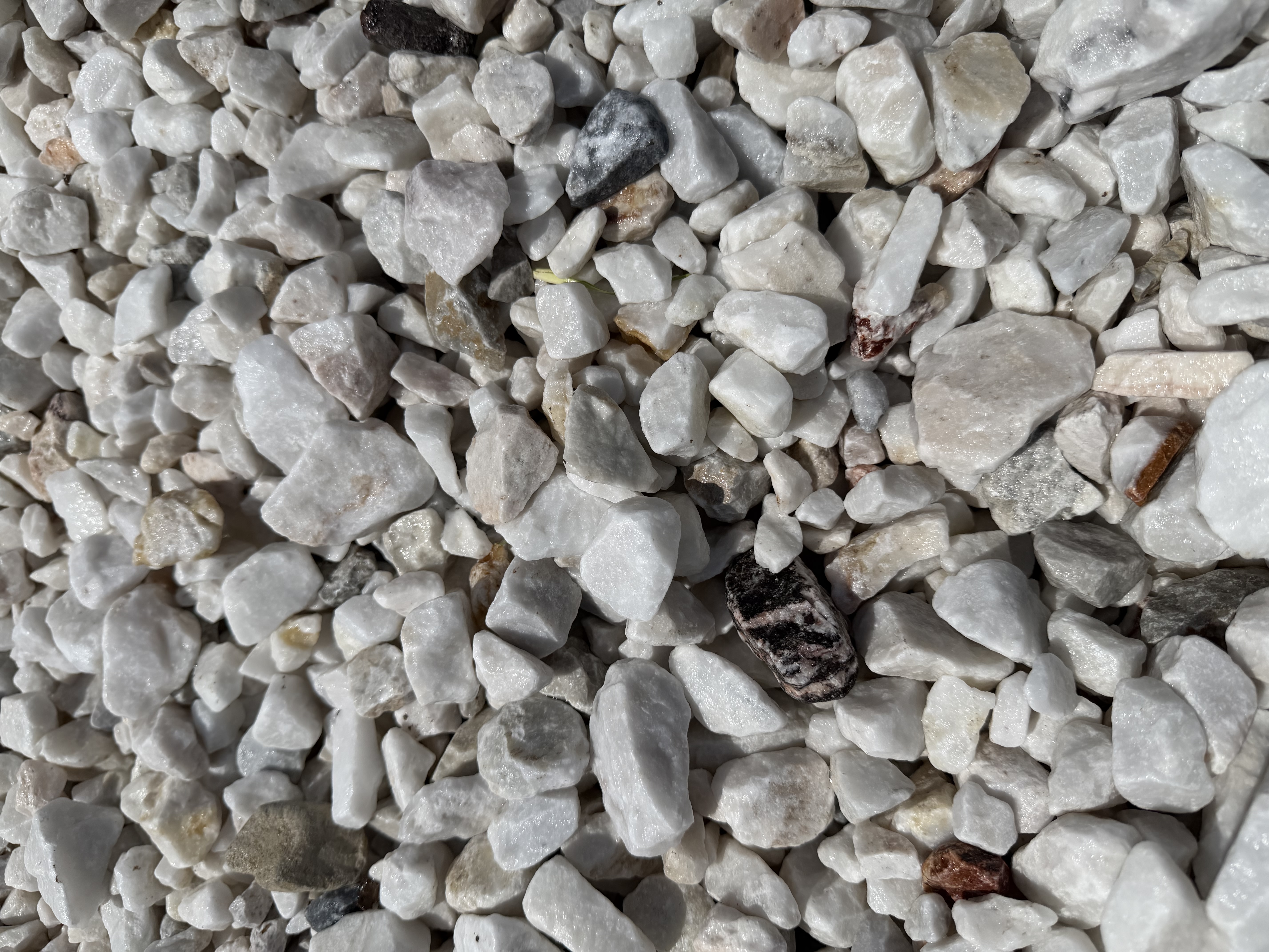 Mexican Ivory Marble