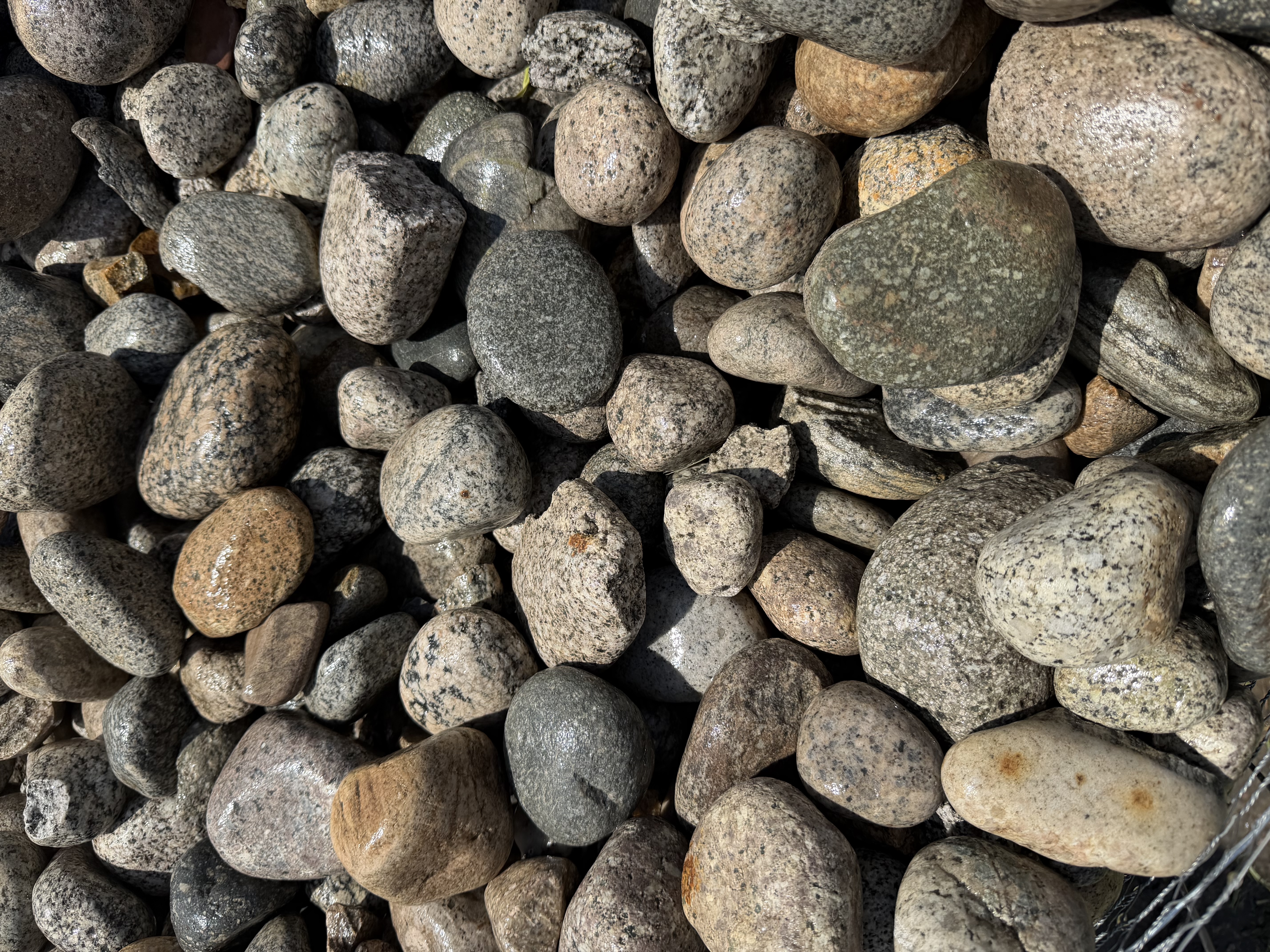 Salt & Pepper Rock